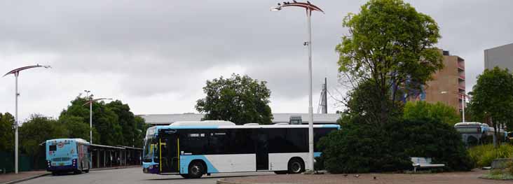 Interline Volvo B8RLE Custom Endeavour 8136 & Volvo B7RLE Bustech VST 6300